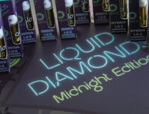 Why Disposable Vapes Are So Popular